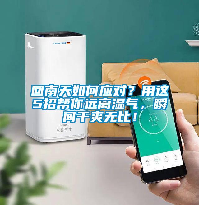 回南天如何應(yīng)對？用這5招幫你遠(yuǎn)離濕氣，瞬間干爽無比！