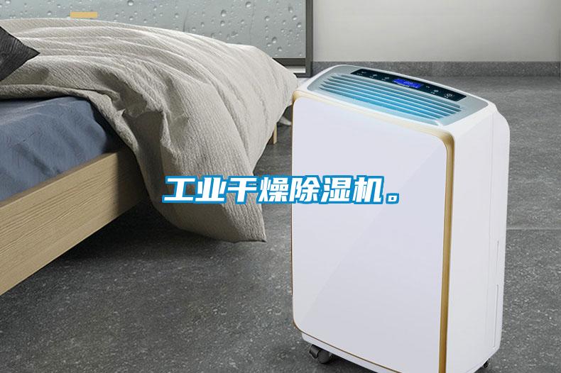工業(yè)干燥除濕機(jī)。