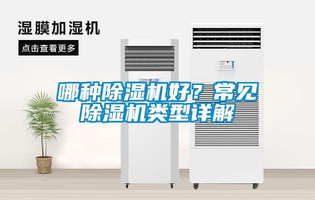 哪種除濕機好？常見除濕機類型詳解
