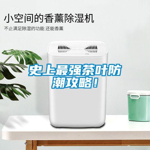 史上最強茶葉防潮攻略！