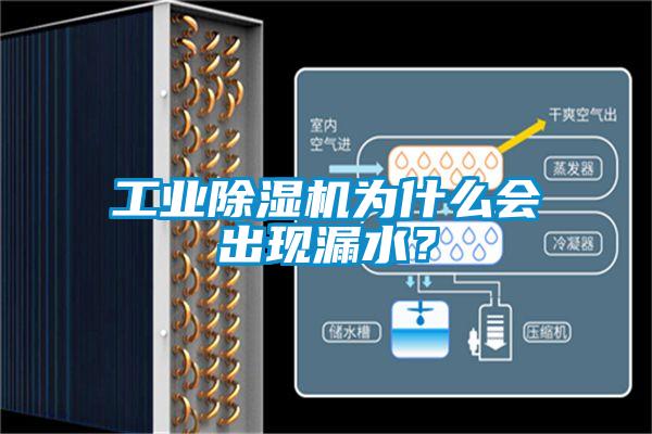 工業(yè)除濕機為什么會出現(xiàn)漏水？