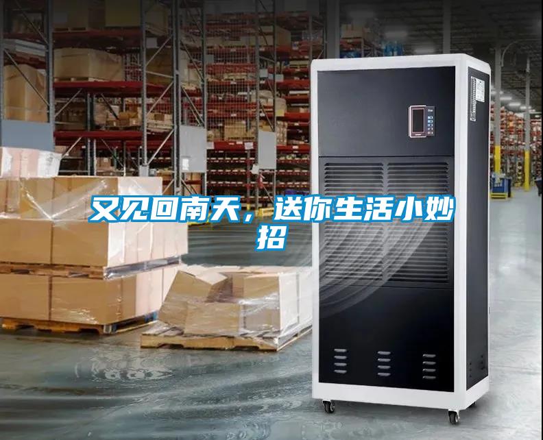 又見回南天，送你生活小妙招