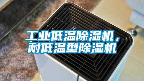 工業(yè)低溫除濕機(jī)，耐低溫型除濕機(jī)