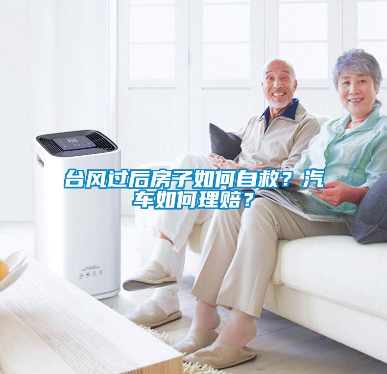 臺(tái)風(fēng)過后房子如何自救？汽車如何理賠？