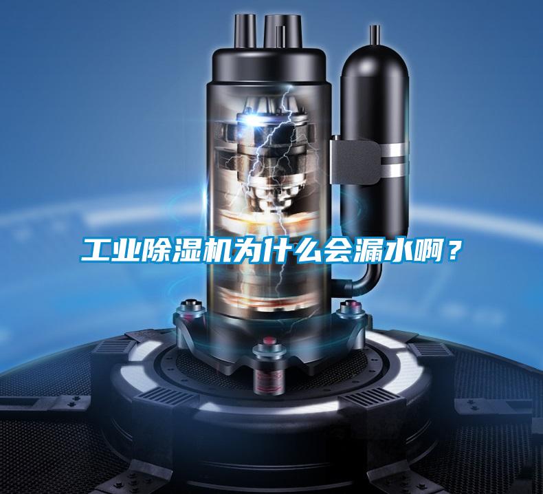 工業(yè)除濕機為什么會漏水啊？