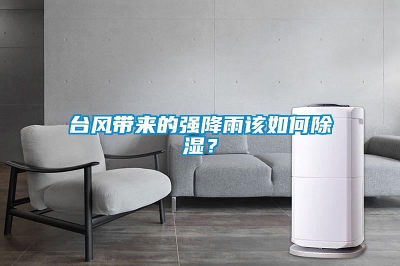 臺(tái)風(fēng)帶來(lái)的強(qiáng)降雨該如何除濕？