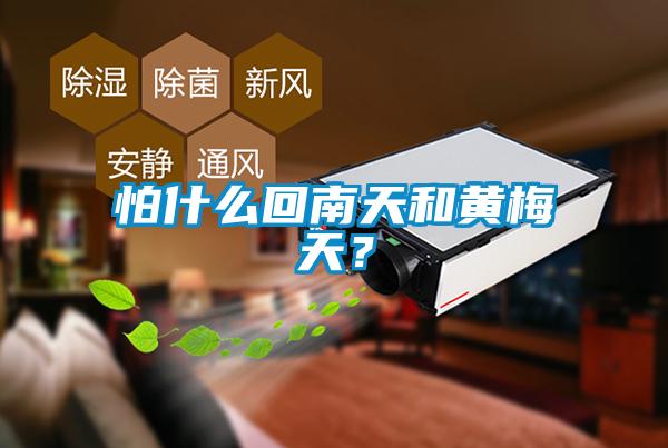 怕什么回南天和黃梅天？