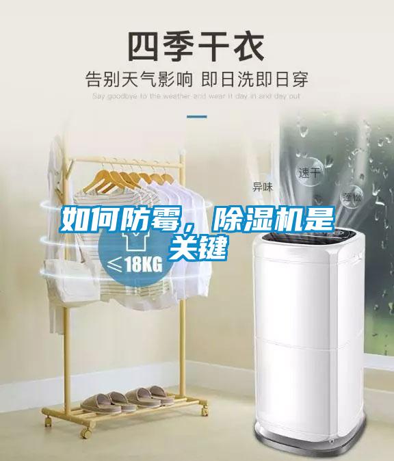 如何防霉，除濕機(jī)是關(guān)鍵