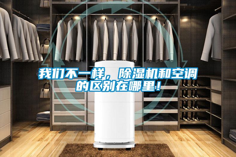 我們不一樣，除濕機和空調(diào)的區(qū)別在哪里！