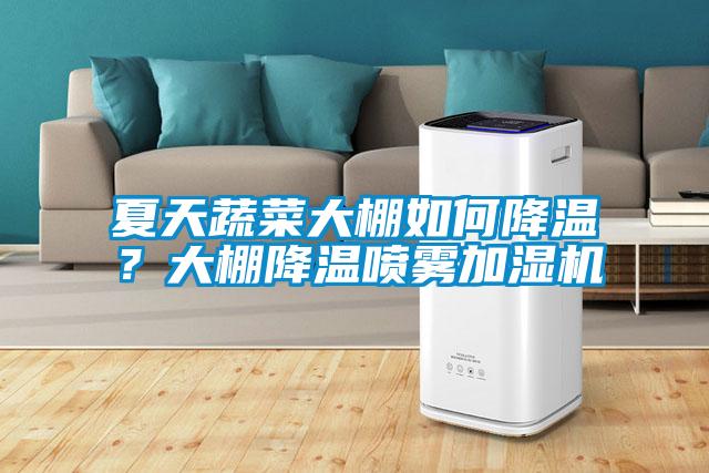 夏天蔬菜大棚如何降溫？大棚降溫噴霧加濕機