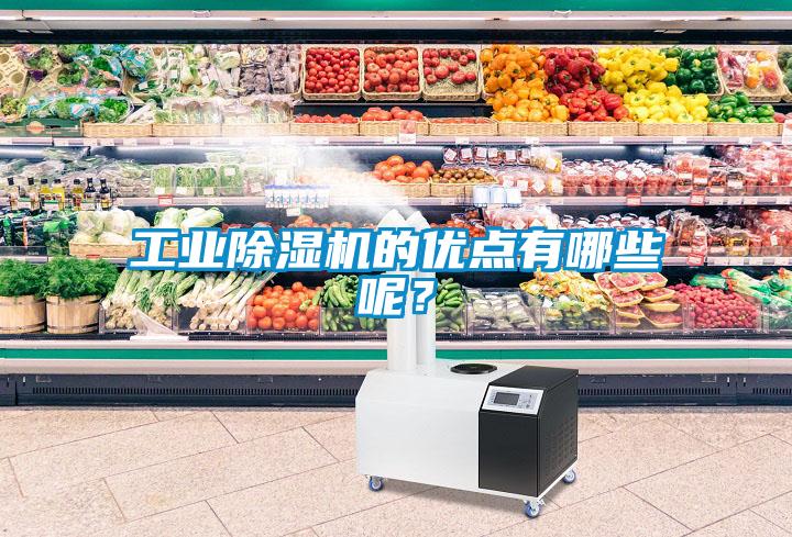 工業(yè)除濕機(jī)的優(yōu)點(diǎn)有哪些呢？