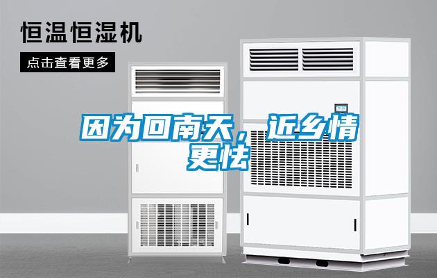 因為回南天，近鄉(xiāng)情更怯