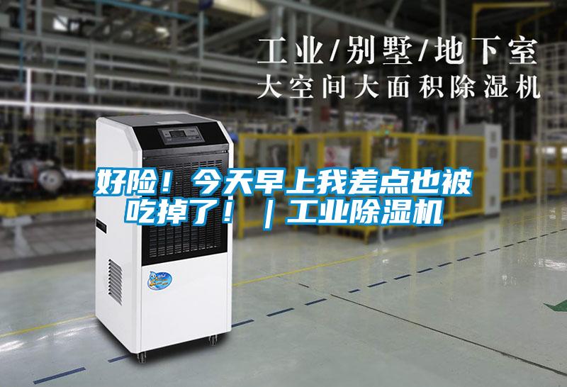 好險！今天早上我差點也被吃掉了！｜工業(yè)除濕機(jī)
