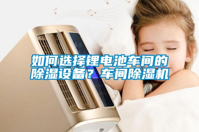 如何選擇鋰電池車間的除濕設(shè)備？車間除濕機(jī)