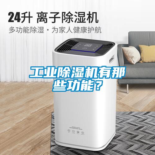 工業(yè)除濕機(jī)有那些功能？