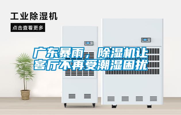 廣東暴雨，除濕機讓客廳不再受潮濕困擾