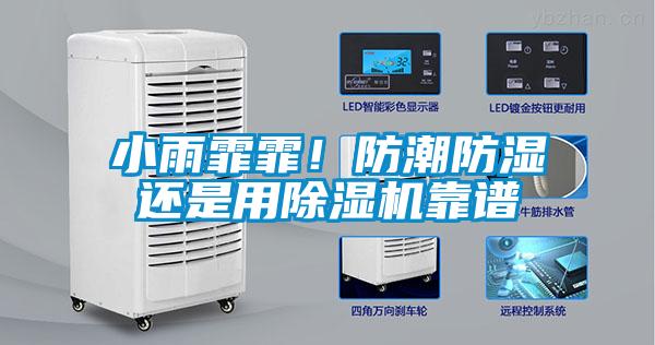 小雨霏霏！防潮防濕還是用除濕機靠譜