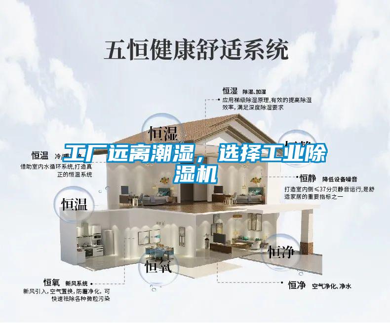 工廠遠離潮濕，選擇工業(yè)除濕機