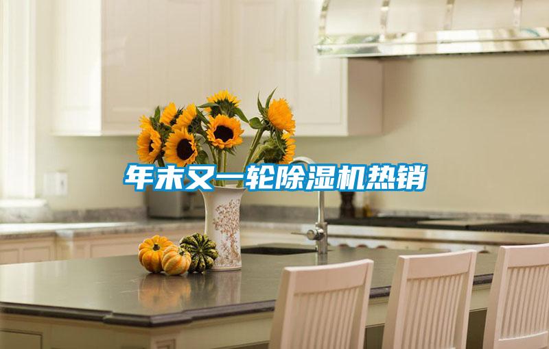 年末又一輪除濕機(jī)熱銷(xiāo)