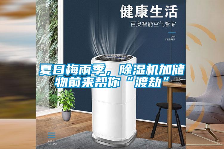 夏日梅雨季，除濕機(jī)加儲物前來幫你“渡劫”