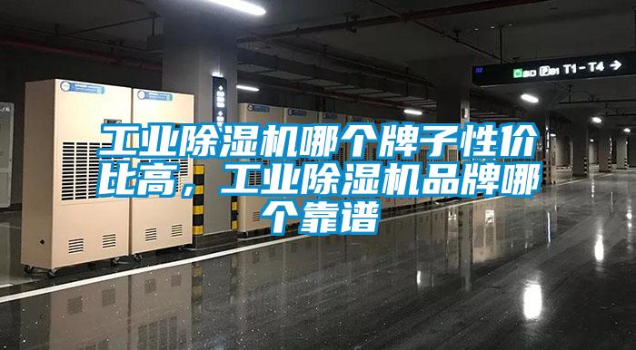 工業(yè)除濕機(jī)哪個(gè)牌子性價(jià)比高，工業(yè)除濕機(jī)品牌哪個(gè)靠譜