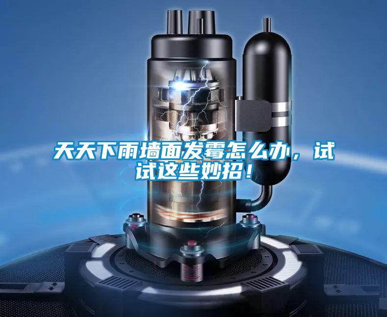 天天下雨墻面發(fā)霉怎么辦，試試這些妙招！