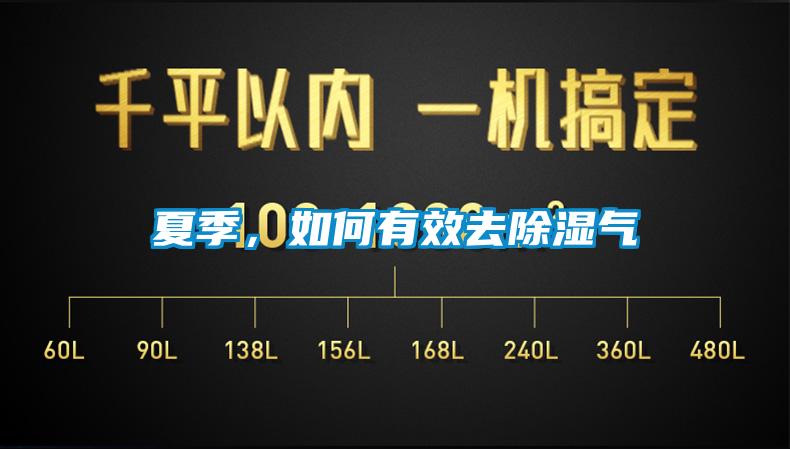 夏季，如何有效去除濕氣
