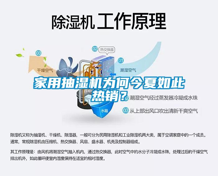家用抽濕機(jī)為何今夏如此熱銷？