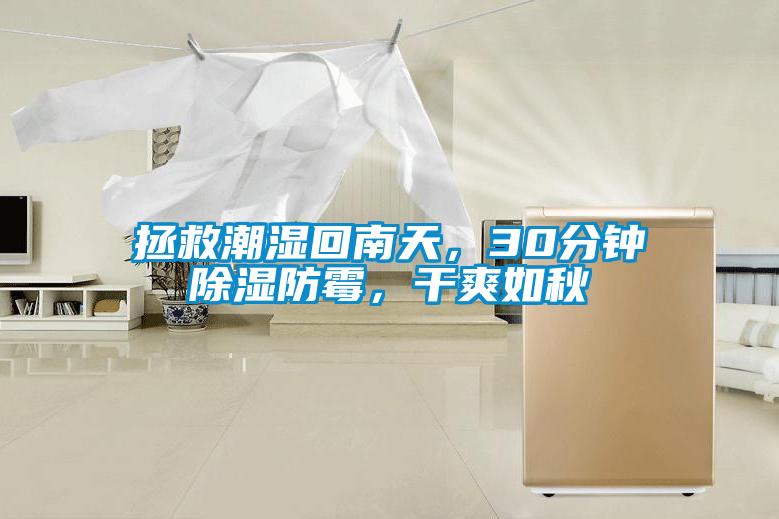 拯救潮濕回南天，30分鐘除濕防霉，干爽如秋