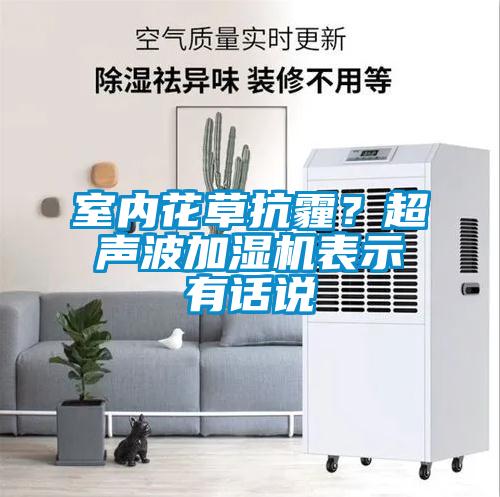 室內(nèi)花草抗霾？超聲波加濕機表示有話說