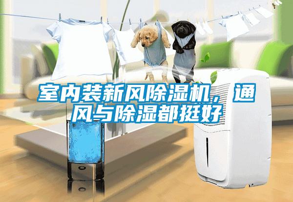 室內裝新風除濕機，通風與除濕都挺好