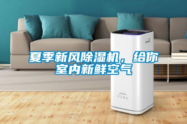 夏季新風(fēng)除濕機(jī)，給你室內(nèi)新鮮空氣