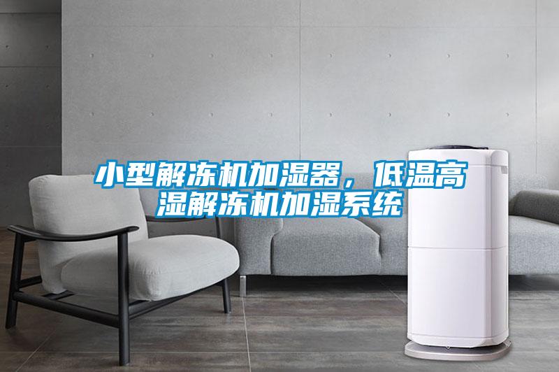 小型解凍機加濕器，低溫高濕解凍機加濕系統(tǒng)
