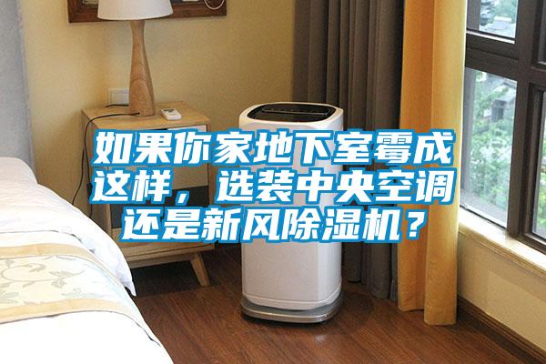 如果你家地下室霉成這樣，選裝中央空調(diào)還是新風(fēng)除濕機(jī)？