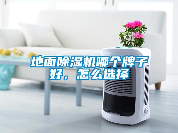 地面除濕機哪個牌子好，怎么選擇