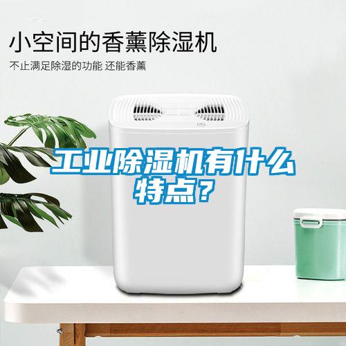工業(yè)除濕機有什么特點？