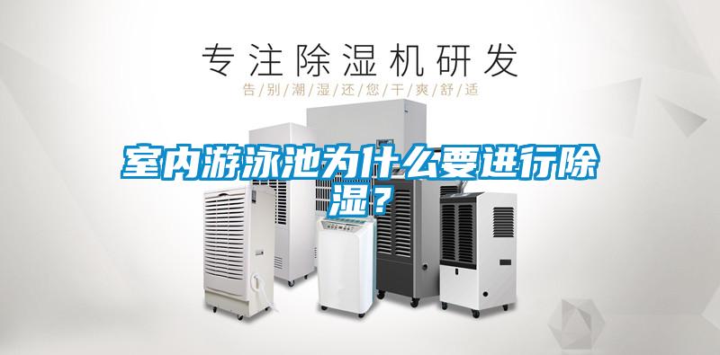 室內(nèi)游泳池為什么要進行除濕？