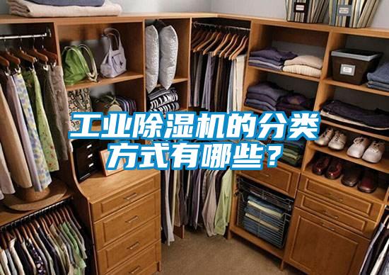 工業(yè)除濕機(jī)的分類(lèi)方式有哪些？