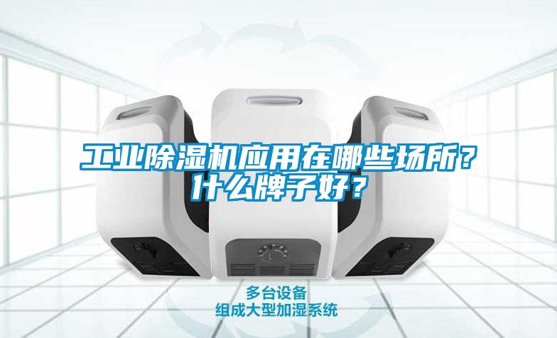 工業(yè)除濕機(jī)應(yīng)用在哪些場所？什么牌子好？