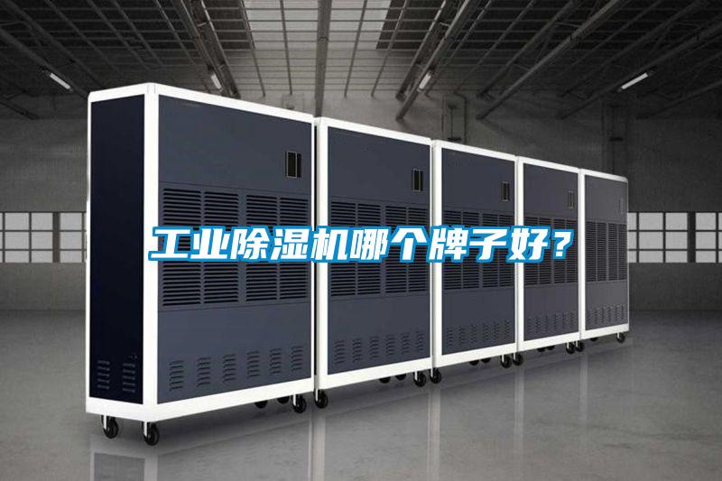 工業(yè)除濕機(jī)哪個(gè)牌子好？