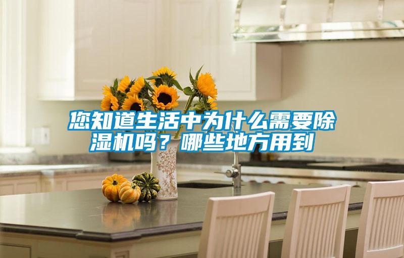您知道生活中為什么需要除濕機嗎？哪些地方用到