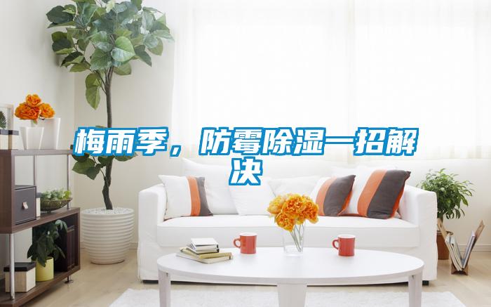 梅雨季，防霉除濕一招解決