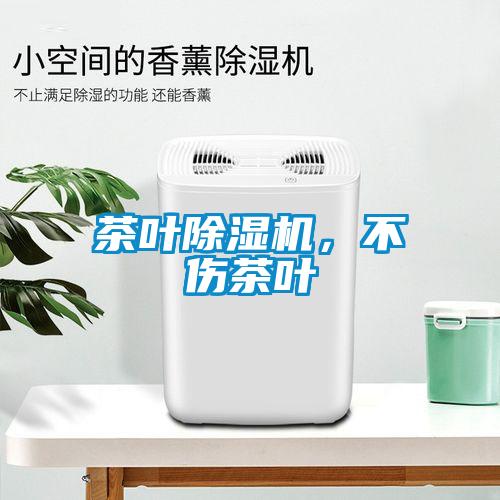 茶葉除濕機(jī)，不傷茶葉