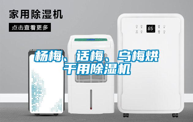 楊梅、話梅、烏梅烘干用除濕機(jī)