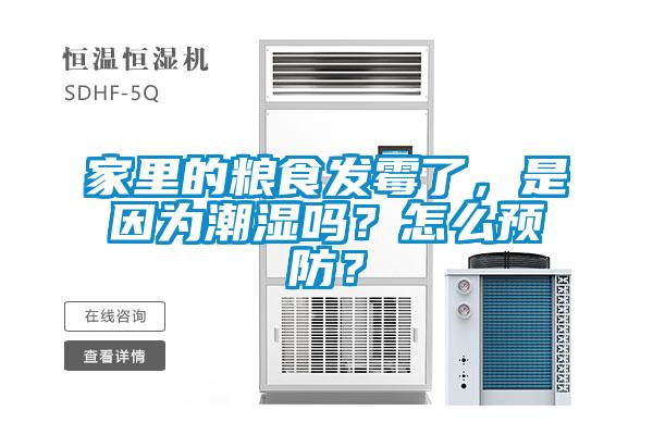 家里的糧食發(fā)霉了，是因為潮濕嗎？怎么預(yù)防？