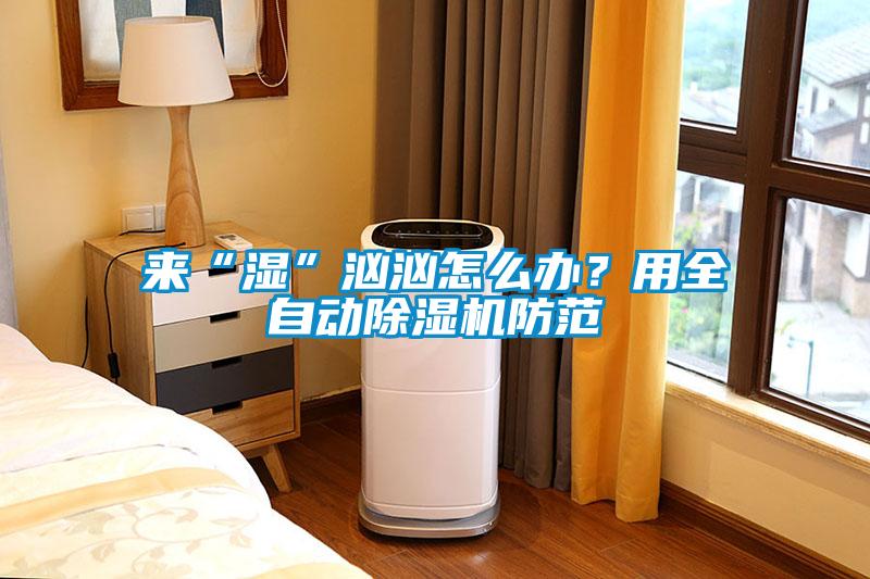 來“濕”洶洶怎么辦？用全自動除濕機防范