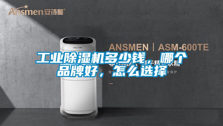 工業(yè)除濕機(jī)多少錢，哪個(gè)品牌好，怎么選擇