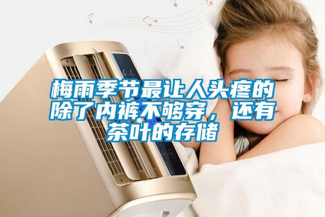 梅雨季節(jié)最讓人頭疼的除了內褲不夠穿，還有茶葉的存儲
