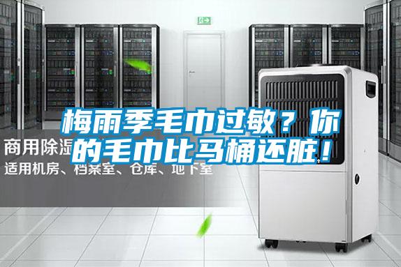 梅雨季毛巾過敏？你的毛巾比馬桶還臟！