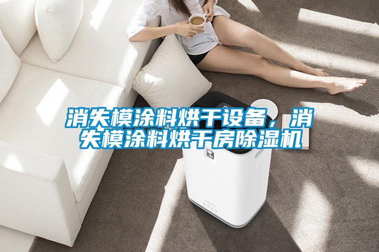 消失模涂料烘干設(shè)備，消失模涂料烘干房除濕機(jī)